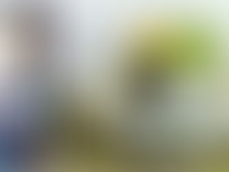 As cores podem influenciar positivamente nosso dia