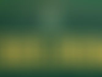 Prefeitura de Porto dos Gaúchos inicia atendimento da Regularização Fundiária Urbana (REURB)