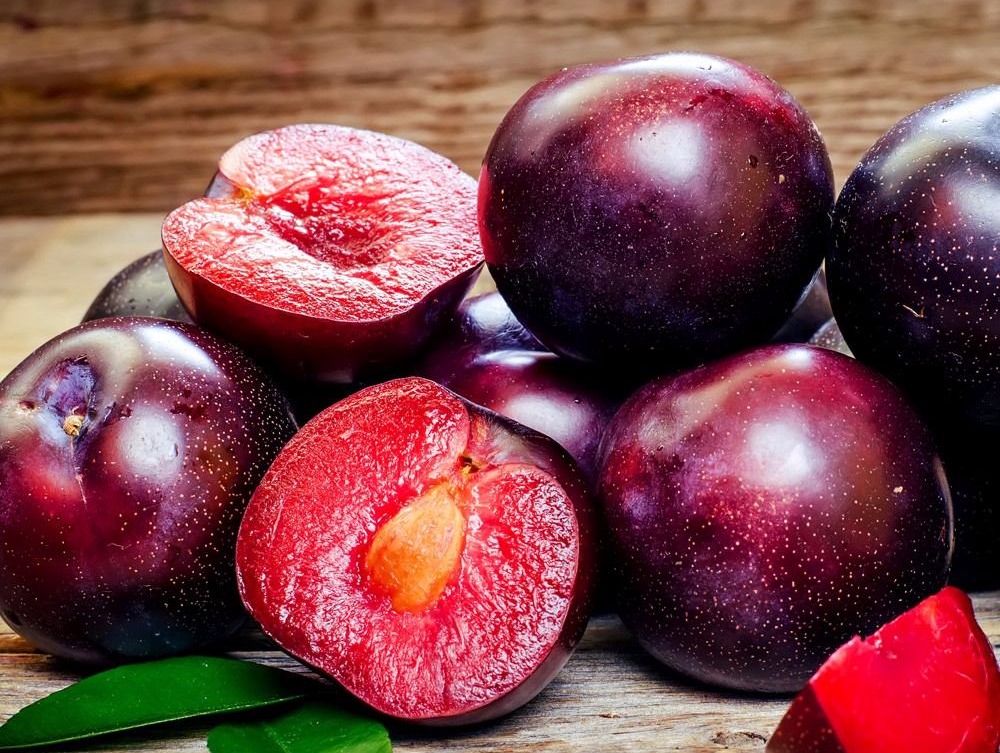 Купить Шарафугу Саженцы В Минске