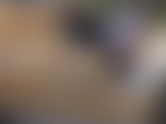 Casas de madeira são construídas com blocos tipo LEGO