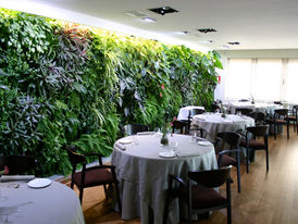 Dicas de Plantas para Decorar Restaurantes