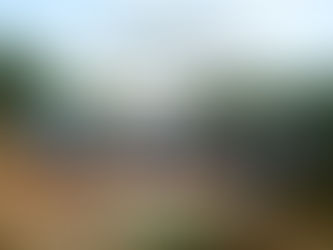 Projetos amigos pelo Rio Arinos está ativo em Porto dos Gaúchos. Limpeza pelas margens e leito 31 07