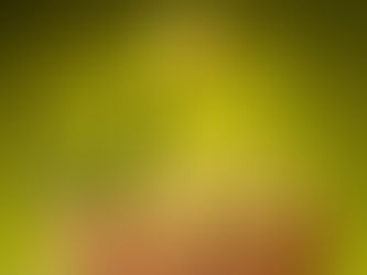 Saúde em Foco: Azeitona e suas propriedades medicinais