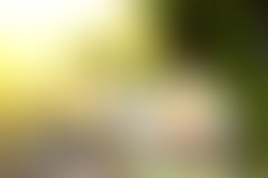 A Habilidade de redirecionar a atenção para aquilo que há de bom