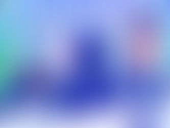 Semana: Castanheira participou do 5º Seminário da Apremat