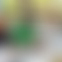 Juninho destaca união regional e celebra criação de selo para fortalecer agricultura familiar