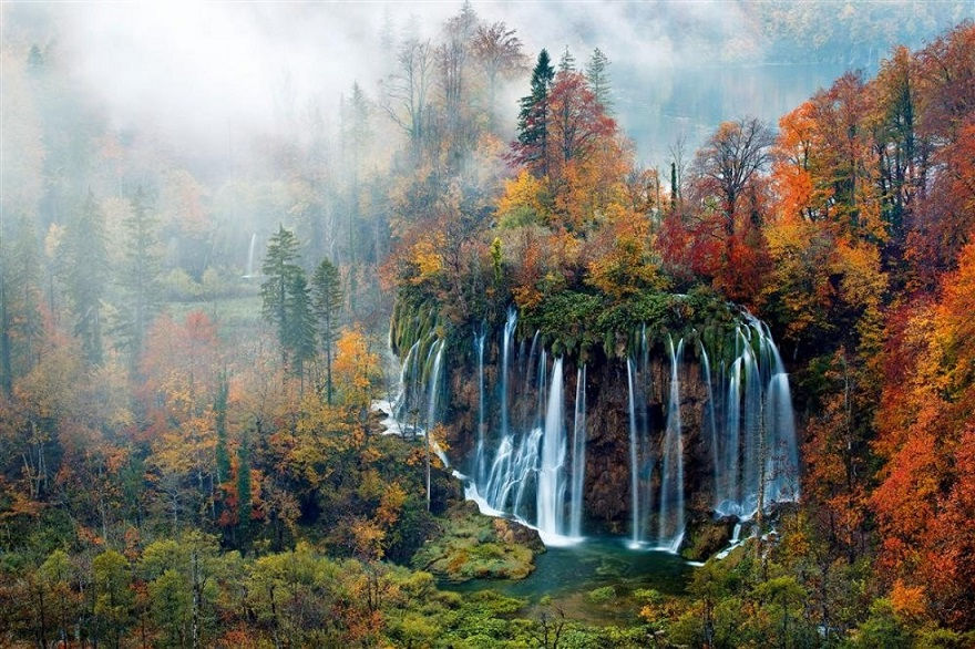 Floresta Parque Nacional dos lagos de Plitvice, na Croácia