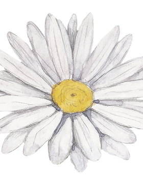 Flor blanca