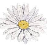 Flor branca