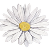 White Flower