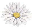 White Flower
