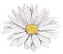 Flor blanca