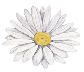 White Flower