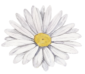 White Flower