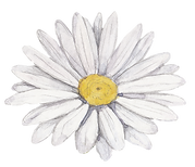 White Flower
