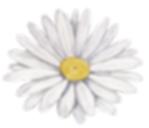 White Flower