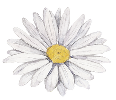 Fleur blanche