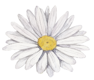 Fleur blanche