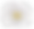 Fleur blanche
