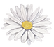 White Flower