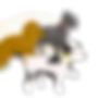 IMG_0269.png