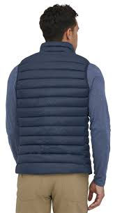 Dos de la veste Patagonia Down Sweater homme bleue