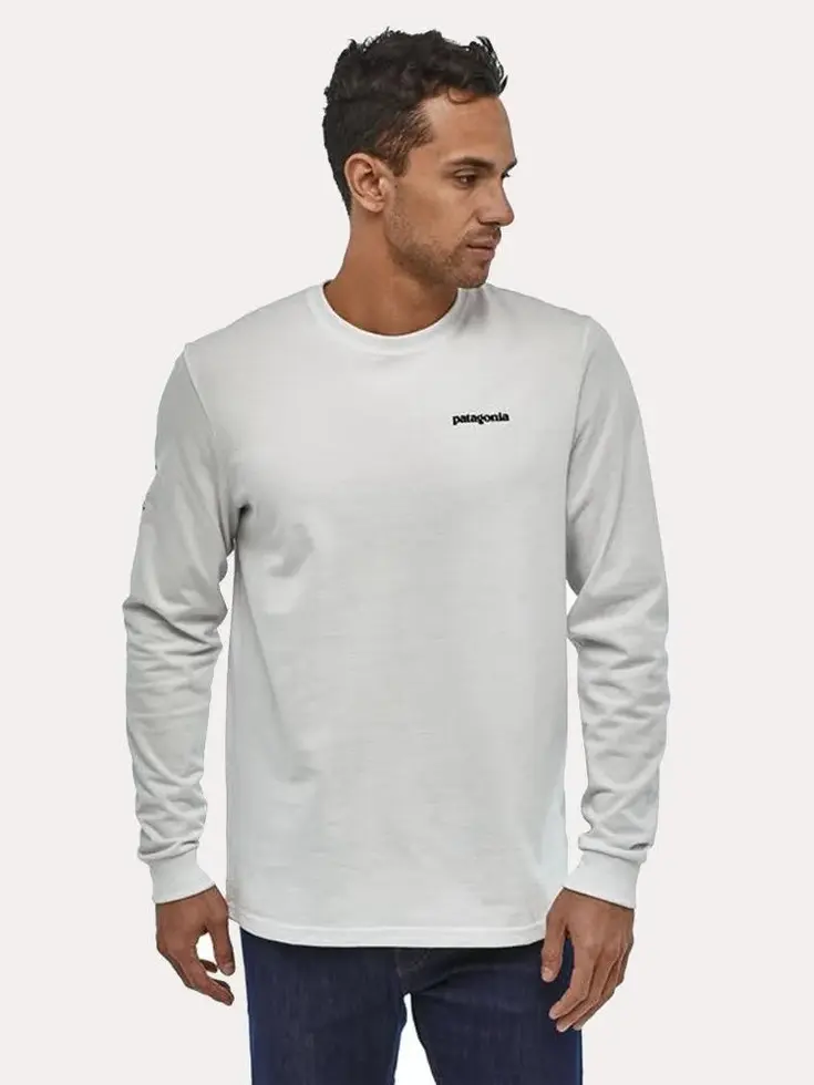 Chandail Patagonia Fitz Roy Trout Responsibili-Tee Homme gris