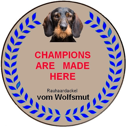 die Championschmiede