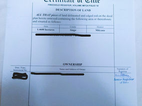 Land Title Singo