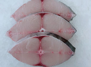 Spanish Mackerel.jpg