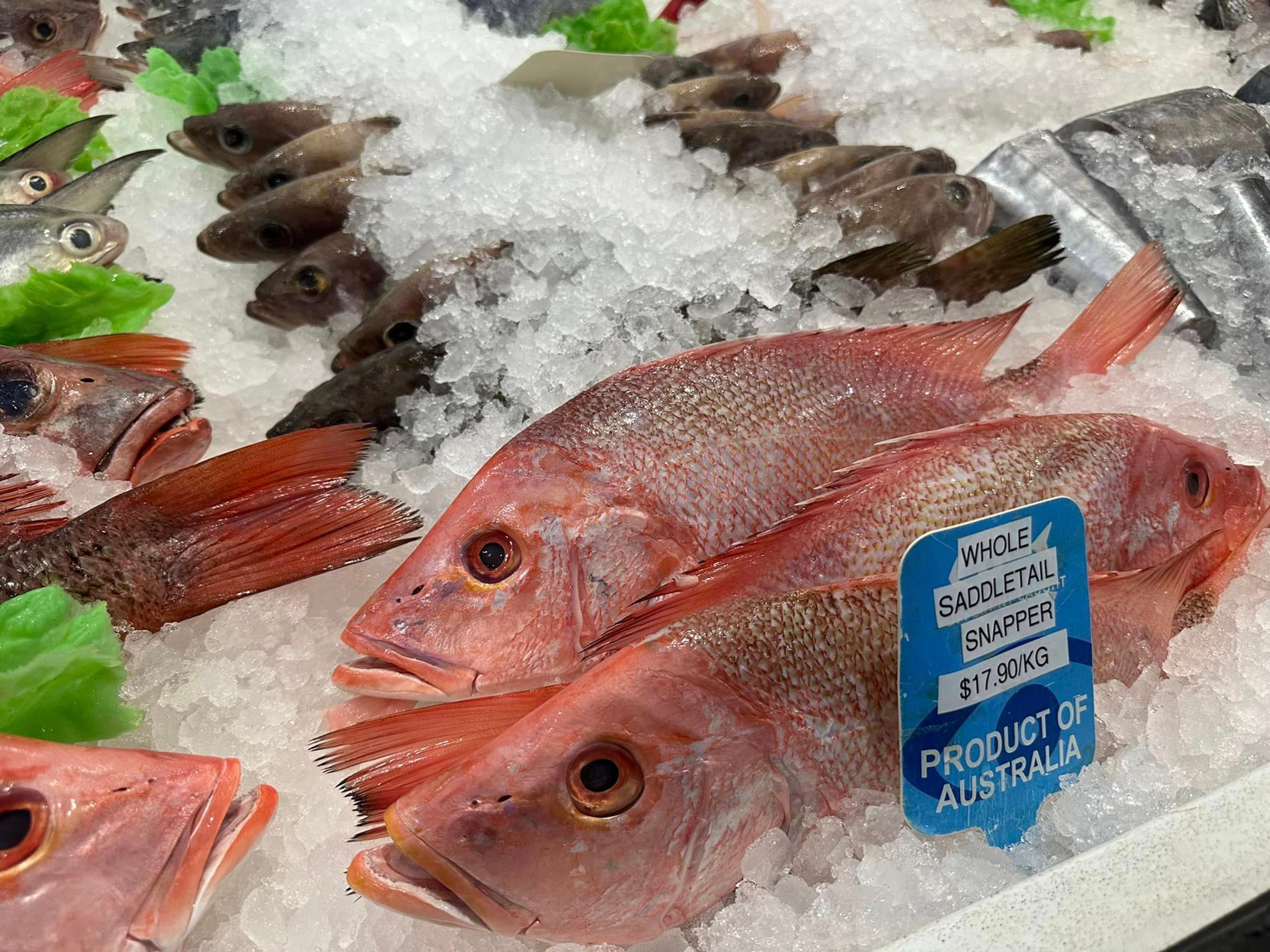 Our Seafood | Darwin Fish Market