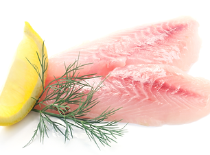 Snapper Red Fillets.png