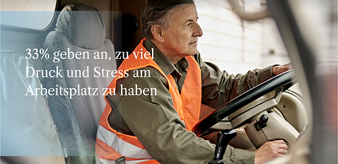 puls 2025.png