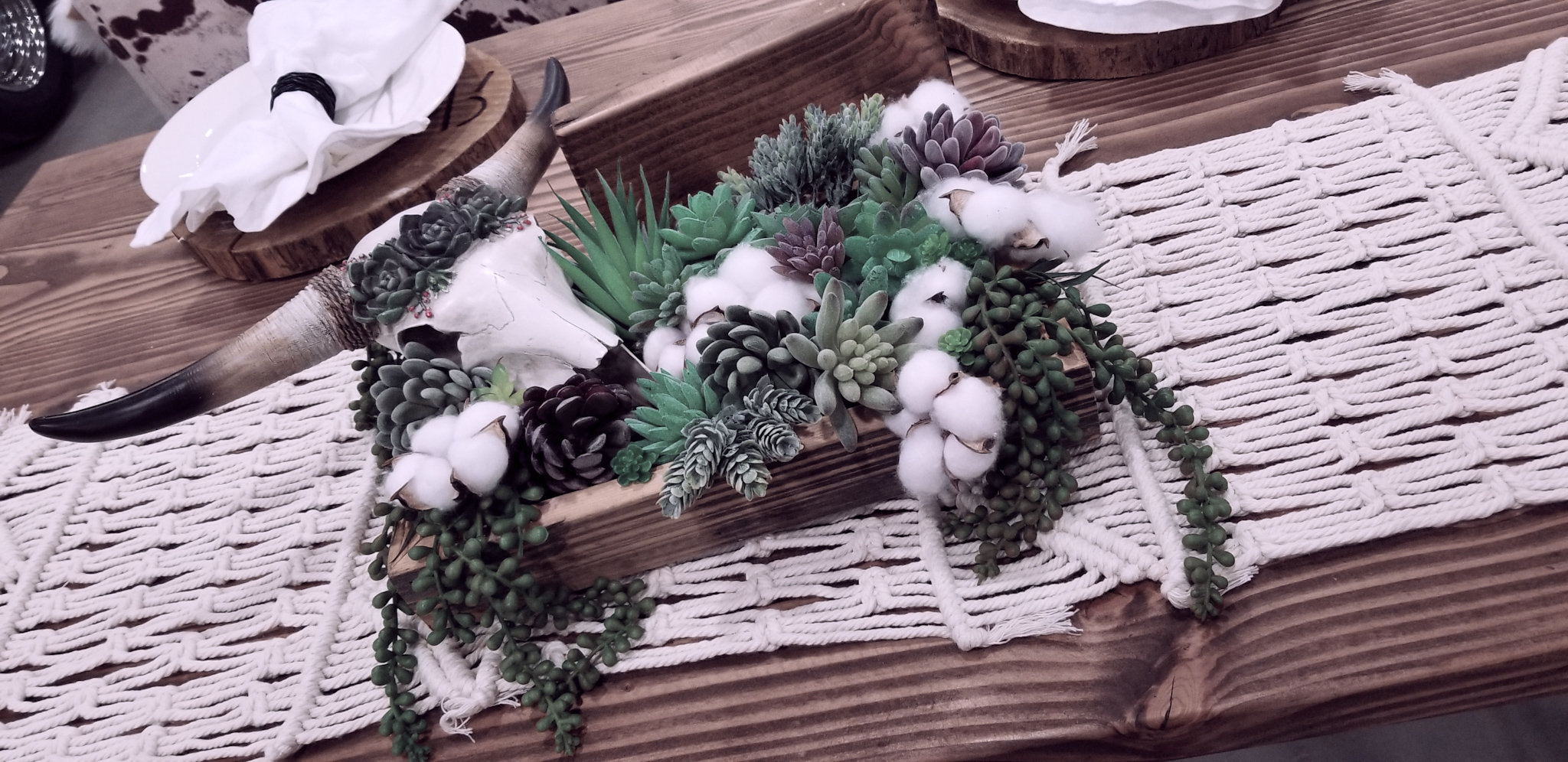 Skull Frame with Succulents = $10
