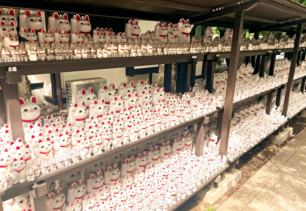 Shelves of white and red Maneki-neko figurines in a shaded outdoor setting in Gotokuji temple, creating a serene and plentiful display.