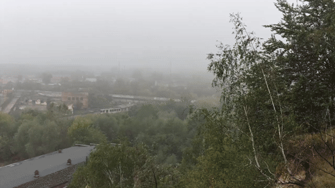 A view of the Janowska camp area from the hills behind, 2017 (Waitman Wade Beorn)