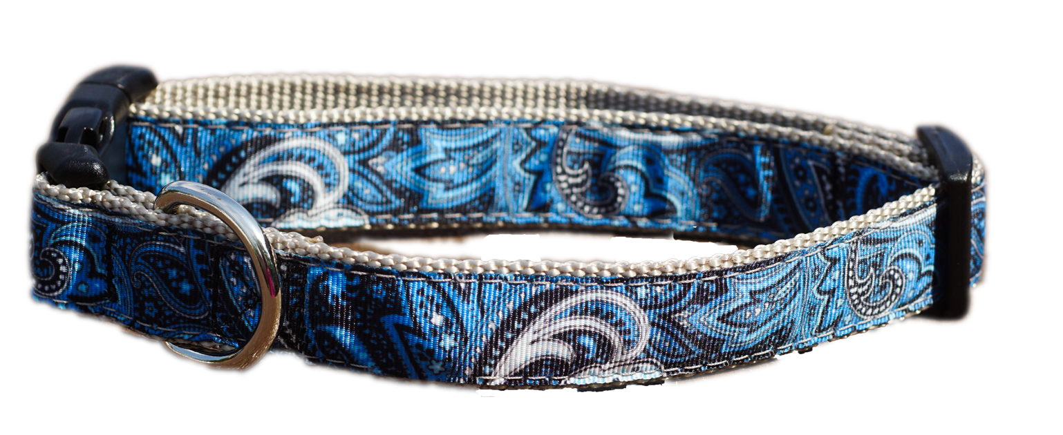 Blue Swirl 1" Dog Collar