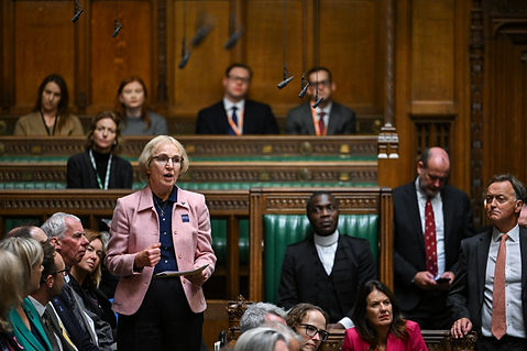 Susan in pink jacket addresses a busy parliamentary session.