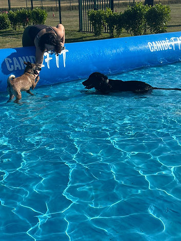 CLUB MEDDOG PISCINE