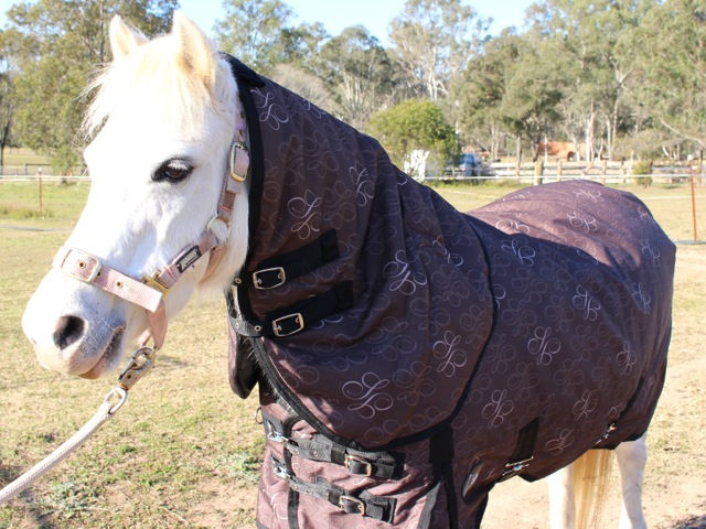 Thumbnail: Mini/Pony 300grm Comb with detachable neck, 1200D, 300g fill, Sizes 3'5" to 4'9"