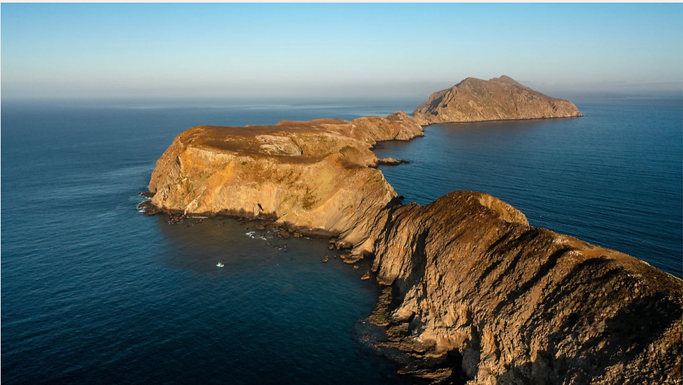 Screen Shot 2025-04-04 at 12.24.39 PM.png