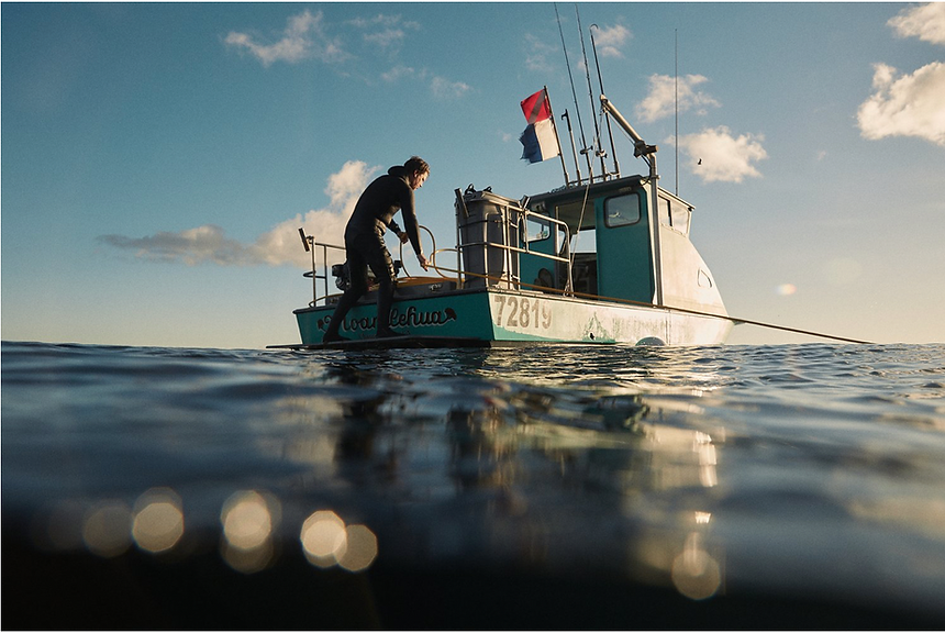 Screen Shot 2025-04-04 at 1.05.30 PM.png