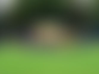 Abschiedsspiel einiger Gnoiener SV Legenden