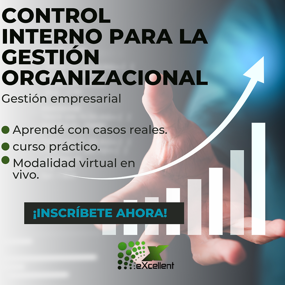 Curso Control Interno para la Gestión Organizacional