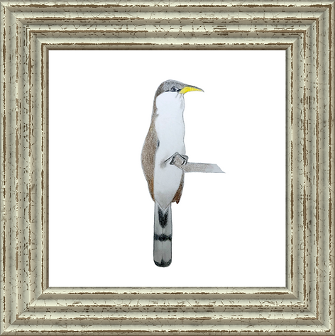 yellow-billed cuckoo.png