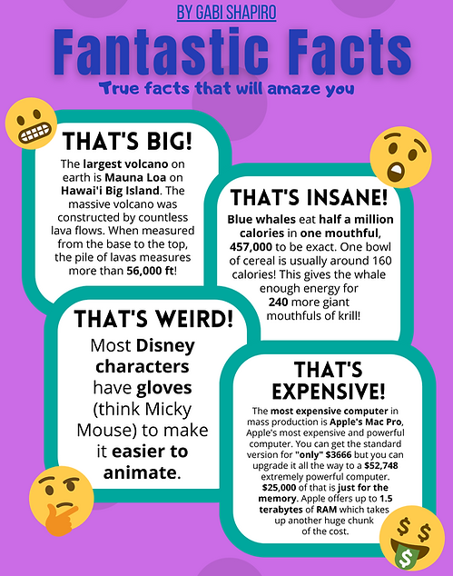 Issue 20. (1).png