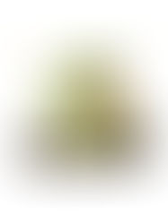 ぐんぐんと昇る干支タツの置物