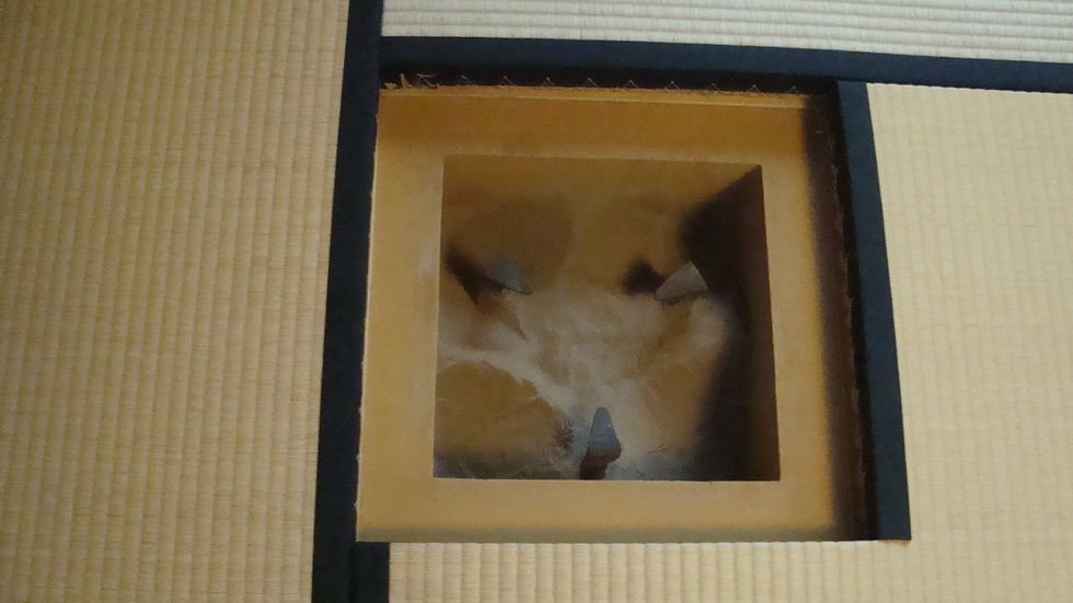 畳を四角く切って炭を入れた炉のアップ
