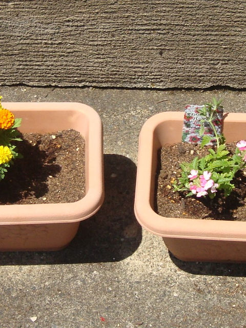 マリーゴールドや白、ピンクの花を植え替えた二つの茶色いプランター