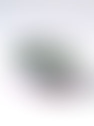 染付の青と金地が美しいうつわ